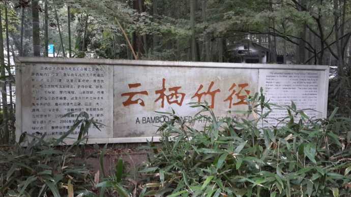 云栖竹径
