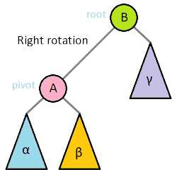 tree_rotation_animation_250x2504_thu