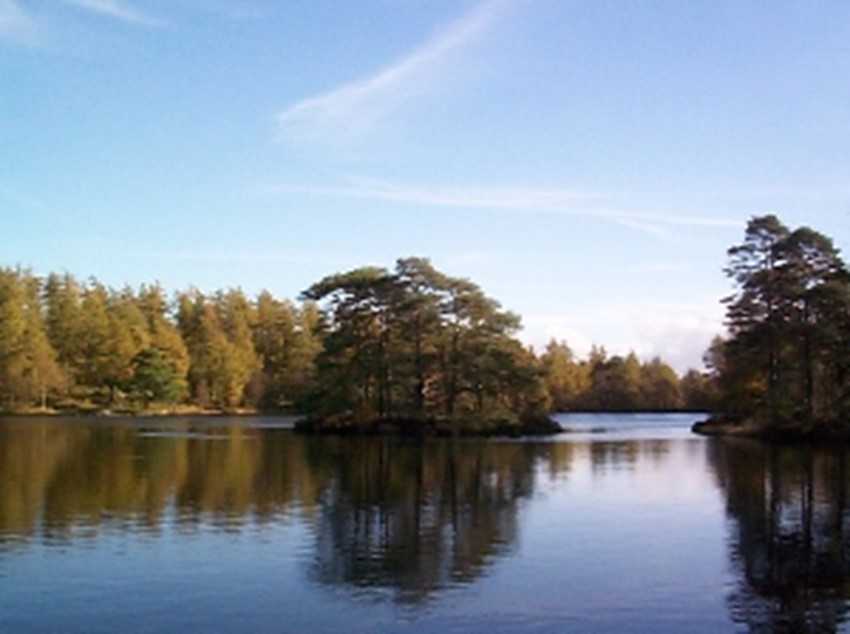 bubuko.com,布布扣