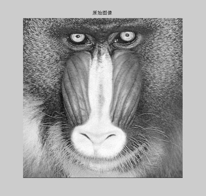 bubuko.com,布布扣