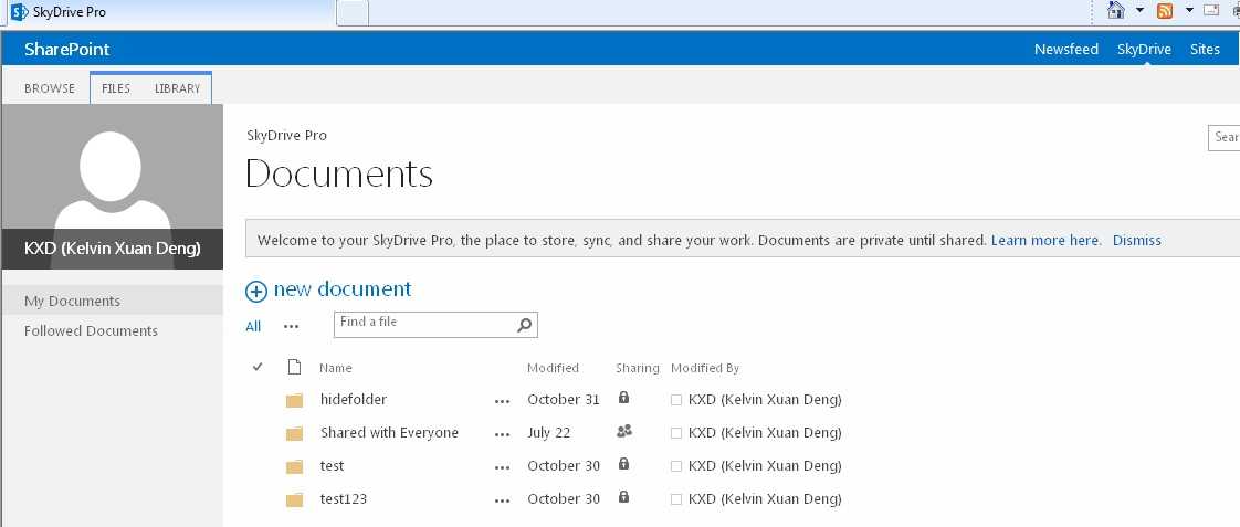 SP2013SkyDrive.jpg