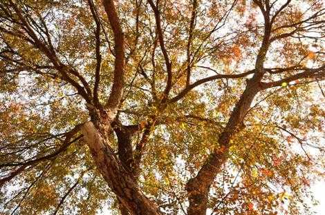 141113p3_DSC_0304_002100