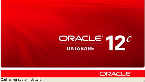 8下安装oracle12c