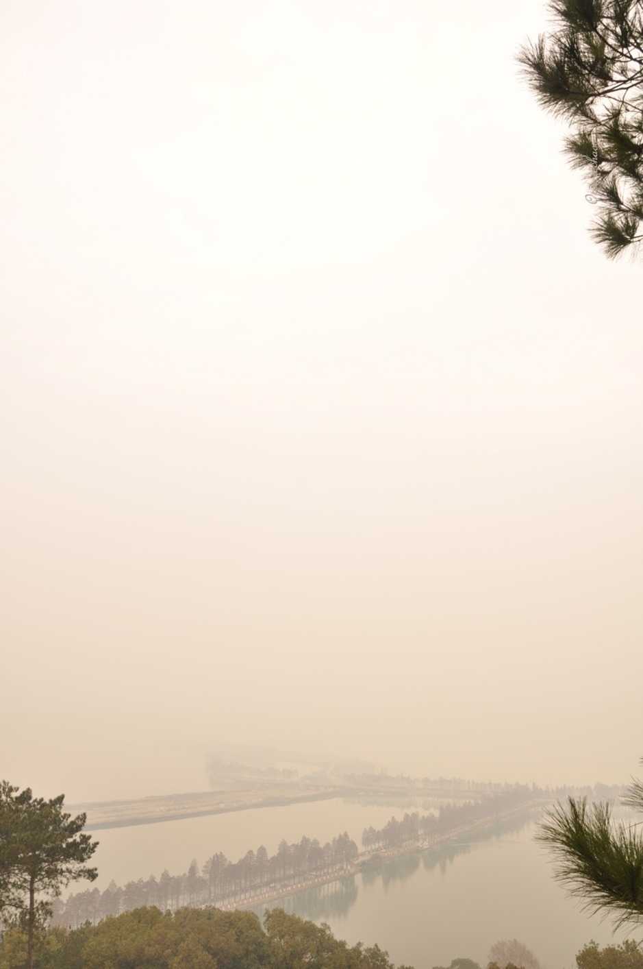 150112n7_DSC_0529