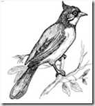 clip_image001