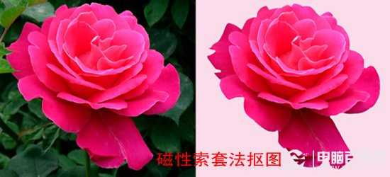 磁性索套法抠图