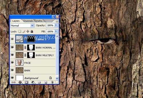 ‘PS合成恐怖效果的树皮人脸效果教程‘