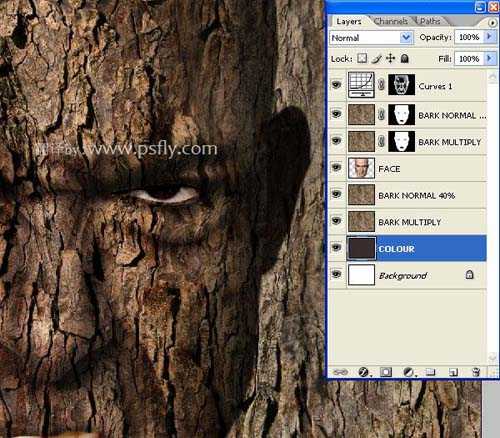 ‘PS合成恐怖效果的树皮人脸效果教程‘