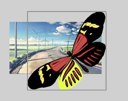 flash教程之引导线动画！