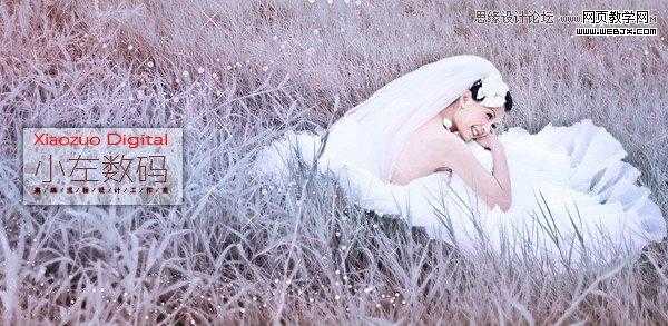 ‘Photoshop将草地美女婚纱图片调制出唯美梦幻色调‘