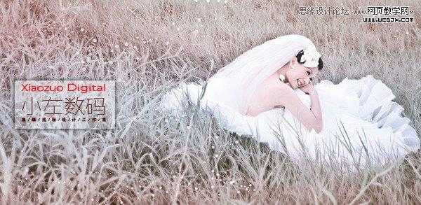 ‘Photoshop将草地美女婚纱图片调制出唯美梦幻色调‘