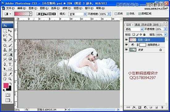 ‘Photoshop将草地美女婚纱图片调制出唯美梦幻色调‘