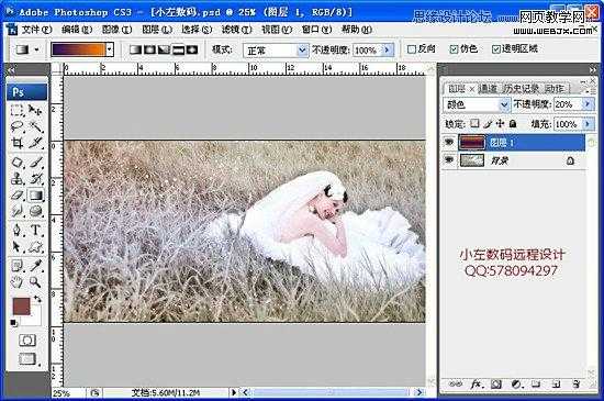 ‘Photoshop将草地美女婚纱图片调制出唯美梦幻色调‘