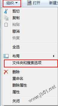 组织文件夹搜索选项