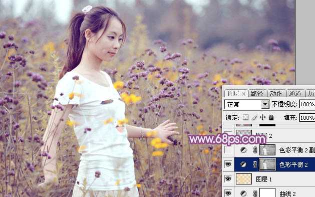 ‘Photoshop为站在野花从中的美女调制出柔美的淡紫色‘