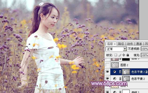 ‘Photoshop为站在野花从中的美女调制出柔美的淡紫色‘