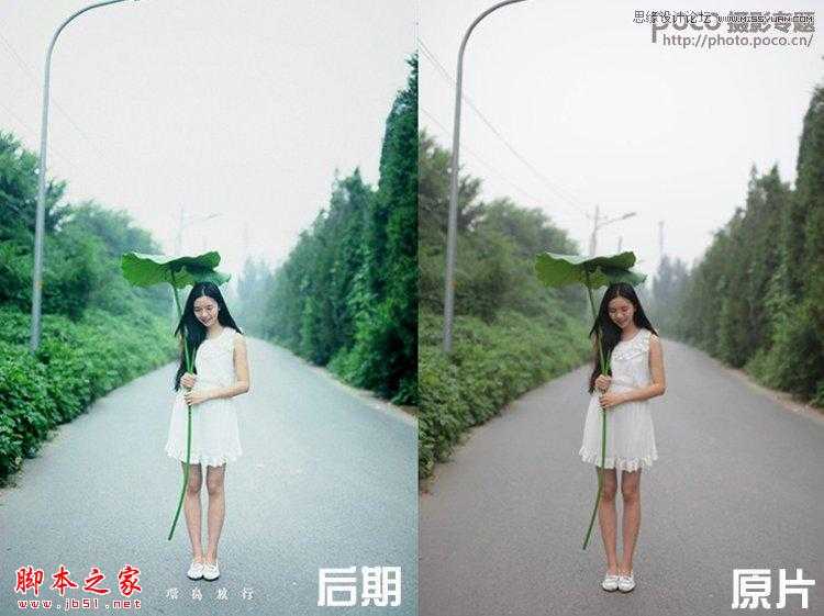 ‘Photoshop将手持荷叶美女调制出清新色调‘