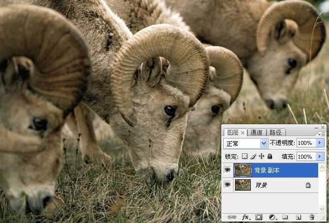 ‘photoshop锐化技术知识学习‘