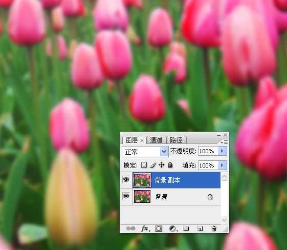 ‘photoshop锐化技术知识学习‘