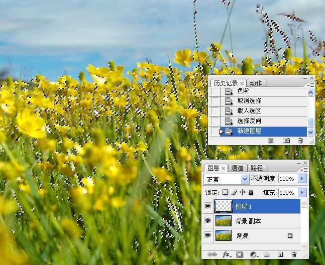 ‘photoshop锐化技术知识学习‘