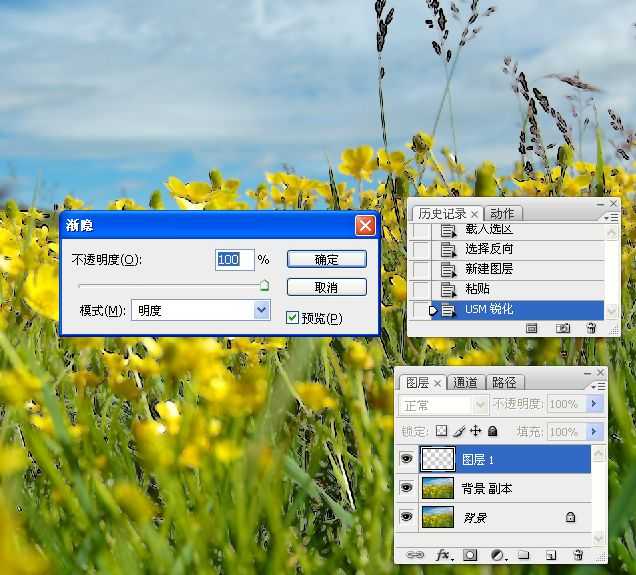 ‘photoshop锐化技术知识学习‘