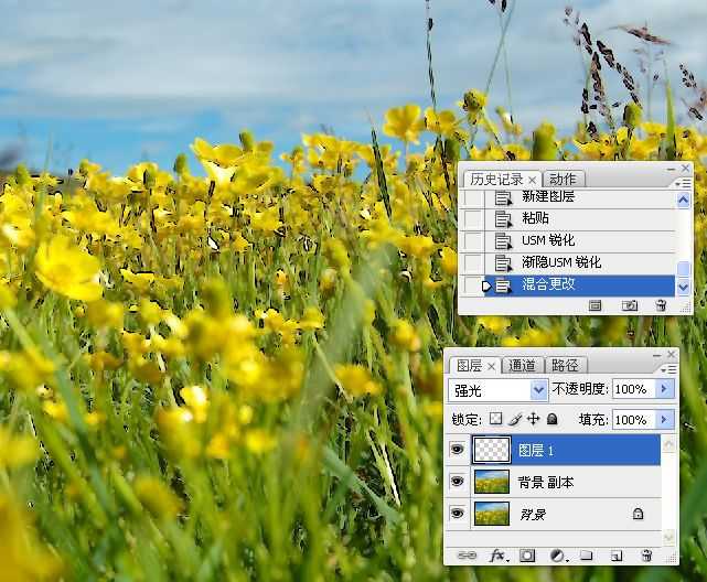 ‘photoshop锐化技术知识学习‘