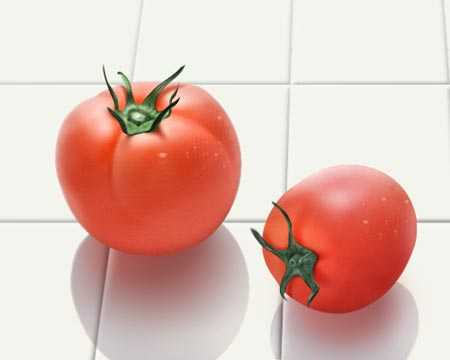 ‘PHOTOSHOP鼠绘出逼真蕃茄教程‘
