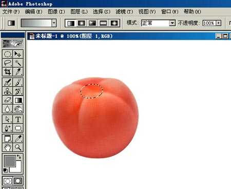 ‘PHOTOSHOP鼠绘出逼真蕃茄教程‘