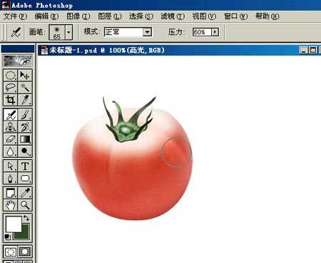 ‘PHOTOSHOP鼠绘出逼真蕃茄教程‘
