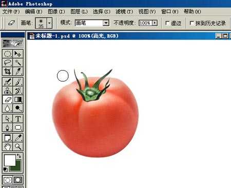 ‘PHOTOSHOP鼠绘出逼真蕃茄教程‘