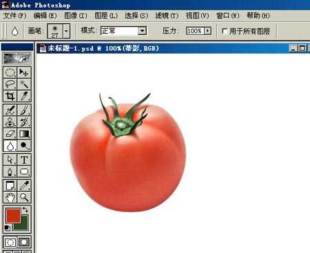 ‘PHOTOSHOP鼠绘出逼真蕃茄教程‘