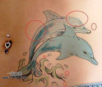 ‘photoshop制作出漂亮的海豚立体纹身效果‘