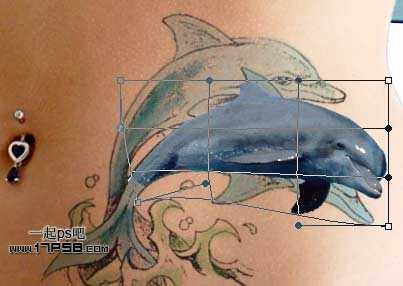 ‘photoshop制作出漂亮的海豚立体纹身效果‘