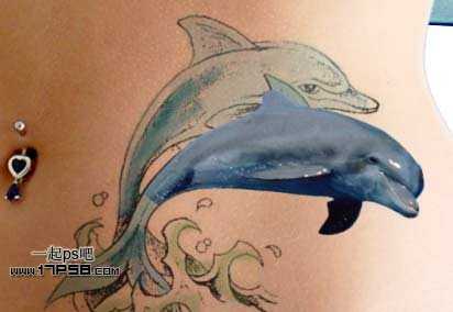 ‘photoshop制作出漂亮的海豚立体纹身效果‘