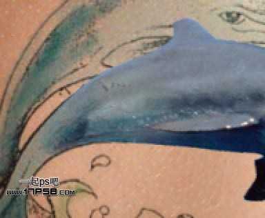 ‘photoshop制作出漂亮的海豚立体纹身效果‘