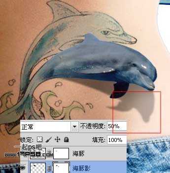 ‘photoshop制作出漂亮的海豚立体纹身效果‘