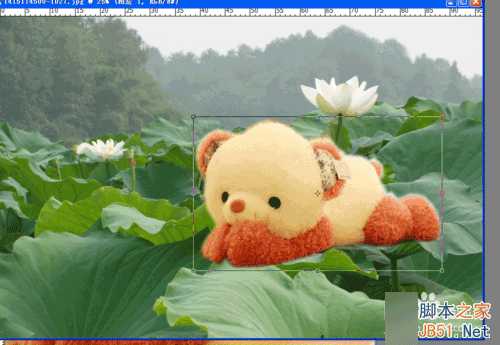 ‘怎样用PS合成图片?PS合成图片方法‘