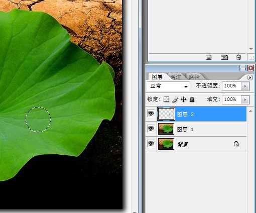 ‘Photoshop打造一颗晶莹通透的水珠‘