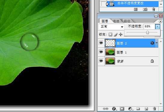 ‘Photoshop打造一颗晶莹通透的水珠‘