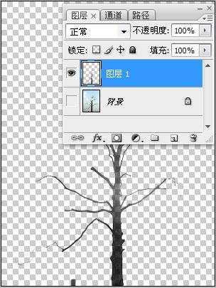 Photoshop实例：计算命令抠图