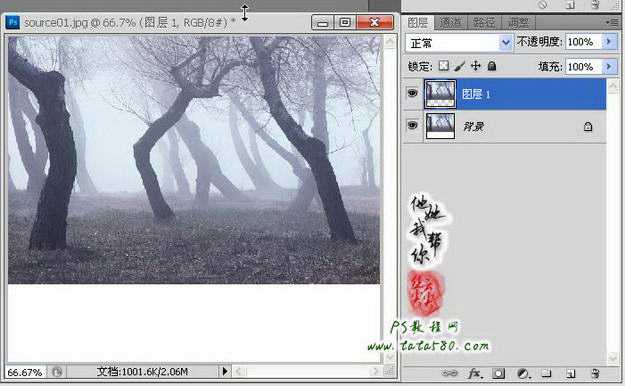 ‘Photoshop制作寂静恐怖的丛林电影海报教程‘