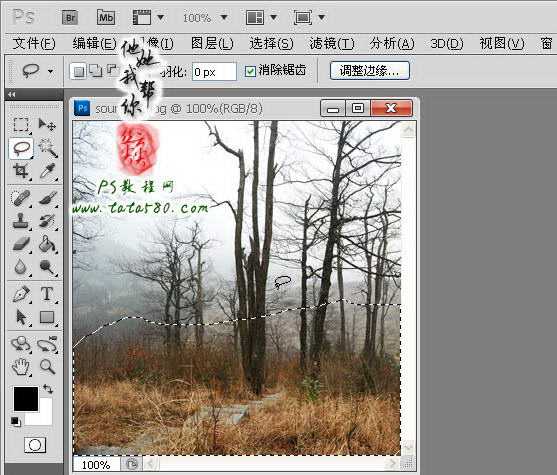 ‘Photoshop制作寂静恐怖的丛林电影海报教程‘