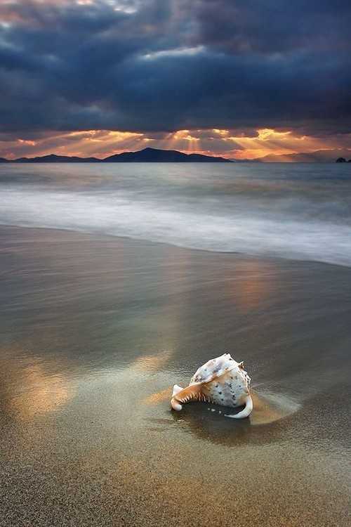 如何客观理解摄影构图 技术分享