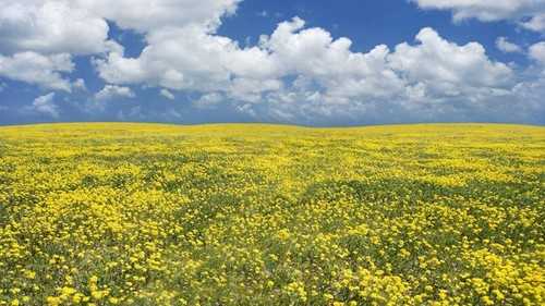 如何客观理解摄影构图 技术分享