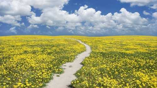 如何客观理解摄影构图 技术分享