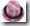 clip_image008[11]
