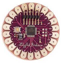 LilyPad_4
