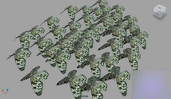 MAYA Instancers 制作蝴蝶群舞 脚本之家 MAYA角色动画教程