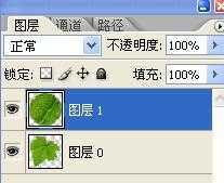 ‘Photoshop设计制作出花瓣上滚动的水珠效果教程‘