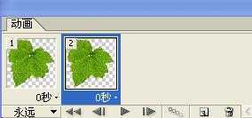 ‘Photoshop设计制作出花瓣上滚动的水珠效果教程‘